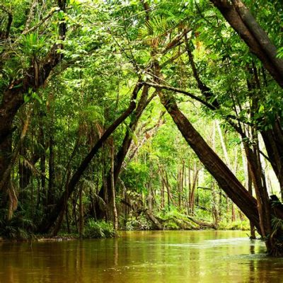 Kutiko: Un Voyage Rythmique à Travers le Cœur de la Forêt Tropicale